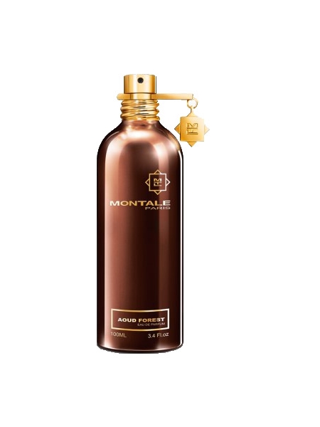 Montale Paris AOUD FOREST 100 ML EDP