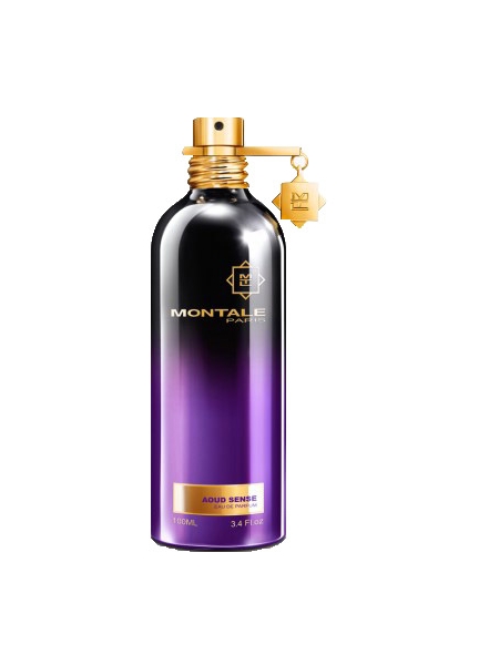 Montale Paris AOUD SENSE 100ML EDP