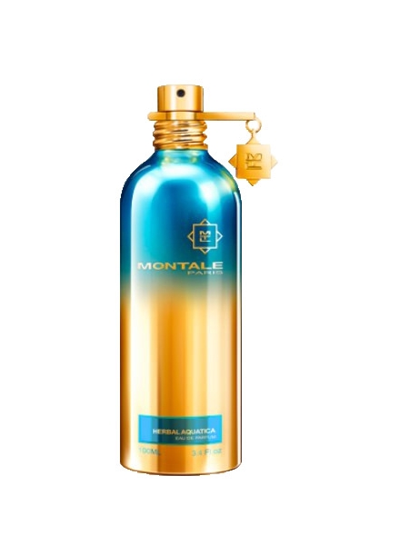 Montale Paris AQUA GOLD 100 ML EDP