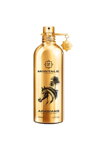 Montale Paris ARABIANS 100ML EDP