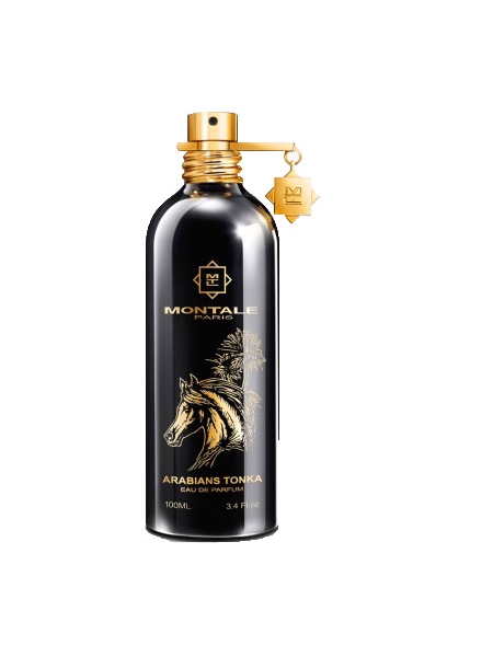 Montale Paris ARABIANS TONKA 100 ML EDP