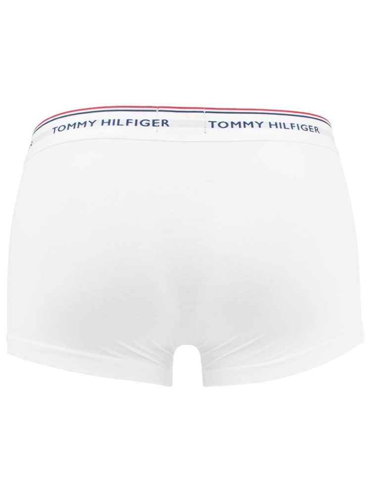 Tommy Hilfiger  1u87903842 100